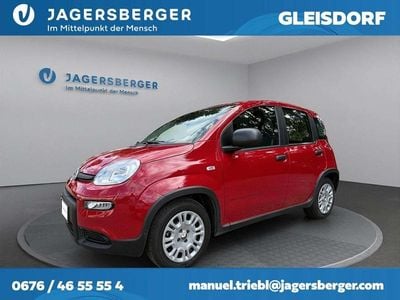 Gebraucht Fiat Panda 69 PS (50 kW) 2024 Rot Kleinwagen