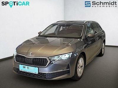 Grau Gebraucht 2025 Skoda Octavia Selection Kombi | € 32.500 (Guter Preis)