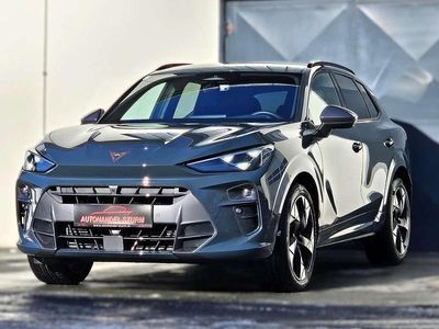 Blau Gebraucht 2025 Cupra Terramar SUV | € 35.999 (Guter Preis)