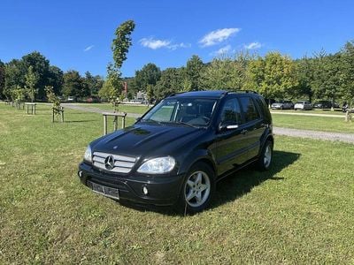 Gebraucht Mercedes ML55 AMG AMG 347 PS (255 kW) 2001 SUV