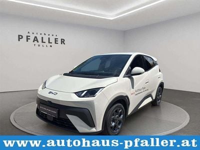 gebraucht BYD Dolphin Surf 432kWh Comfort