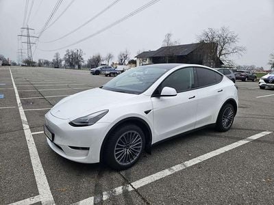 Gebraucht Tesla Model Y Long Range AWD 378 kW (514 PS) 2023 Weiß SUV
