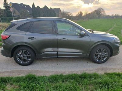 gebraucht Ford Kuga Kuga2,5 Duratec FHEV ST-Line X Aut. ST-Line X