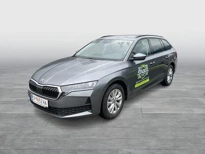 Mittelgrau metallic Neu 2025 Skoda Octavia Essence Kombi | € 31.800 (Etwas zu teuer)