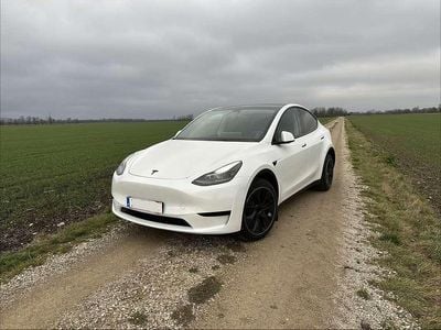 Gebraucht 2023 Tesla Model Y RWD SUV | € 30.000 (Superpreis)
