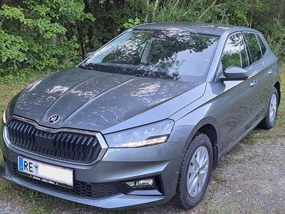 Gebraucht Skoda Fabia Selection 95 PS (69 kW) 2024 Grau Kleinwagen