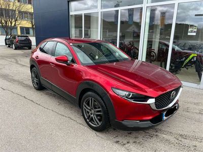 gebraucht Mazda CX-30 Allrad G122 AWD Comfort+/SO/ST *Top Zustand*