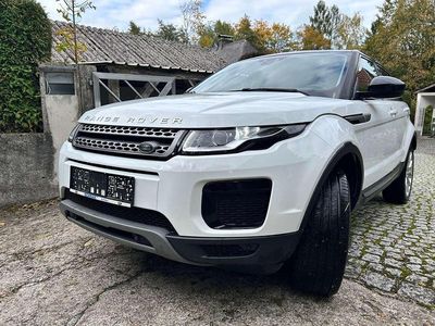 Gebraucht Land Rover Range Rover evoque Pure 150 PS (110 kW) 2017 Weiß SUV