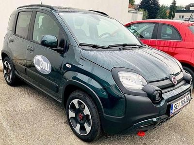Gebraucht Fiat Panda Cross Cross 69 PS (50 kW) 2024 Grün Kleinwagen