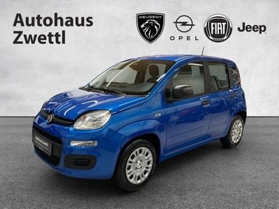 Neu 2025 Fiat Panda Icon Kleinwagen | € 17.090 (Etwas zu teuer)