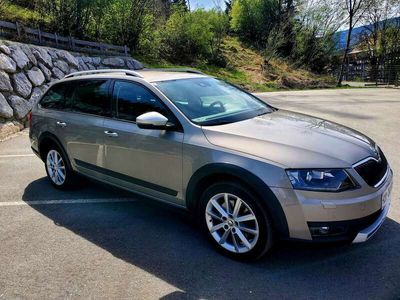 gebraucht Skoda Octavia OctaviaCombi 20 TDI 4x4 Scout DSG Scout