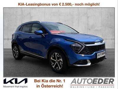 Gebraucht Kia Sportage Gold 160 PS (117 kW) 2025 Blau SUV