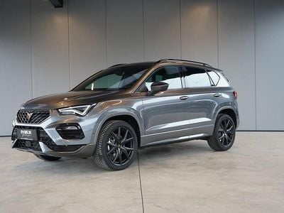 Neu Cupra Ateca 190 PS (139 kW) 2026 Mittelgrau  metallic SUV