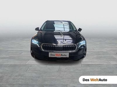 Schwarz metallicperleffektno Gebraucht 2025 Skoda Octavia Essence Kombi | € 26.590 (Guter Preis)