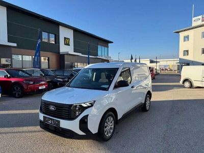 Neu 2025 Ford Transit Trend Van | € 23.990 (Fairer Preis)