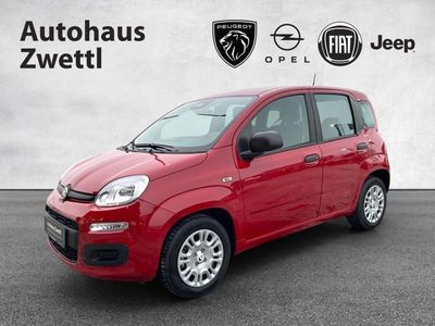 Schwarz Neu 2026 Fiat Panda Icon Kleinwagen | € 16.980 (Fairer Preis)