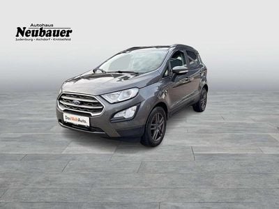 Gebraucht Ford Ecosport Trend 99 PS (72 kW) 2019 Grau SUV