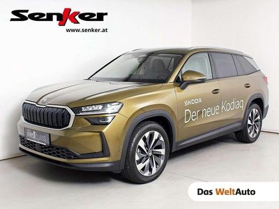 Gold Gebraucht 2024 Skoda Kodiaq Selection SUV | € 46.950 (Etwas zu teuer)