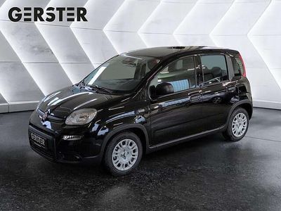 gebraucht Fiat Panda aus Dornbirn - 69 PS und 5500 km