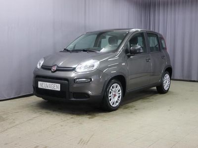 gebraucht Fiat Panda 1,0 Hybrid Sie sparen 1.800,00 € Tech-Paket - Radio mit 7"-Bildschirm Multifunktionslenkrad, Lichtsensor- und Regensensor, Klimaautomatik, Smartphone Mirroring via Apple CarPlay1 Android Auto, Zentralverriegelung Funkfernbedienung uvm.