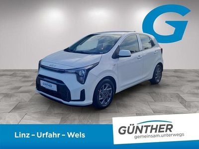 Neu Kia Picanto Silver 68 PS (50 kW) 2025 Weiß Kleinwagen