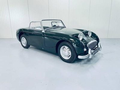 Grün Gebraucht 1960 Austin Healey Sprite Cabrio | € 18.750