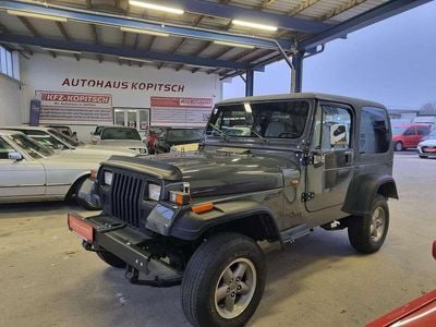 Schwarz Gebraucht 1994 Jeep Wrangler SUV | € 12.500
