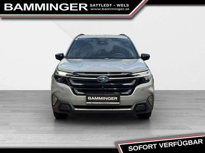 Grau Gebraucht 2025 Subaru Forester Premium SUV | € 45.900 (Fairer Preis)