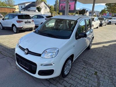 Weiß Neu 2025 Fiat Panda Kleinwagen | € 12.980 (Superpreis)