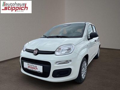 Neu 2025 Fiat Panda Kleinwagen | € 15.760 (Fairer Preis)