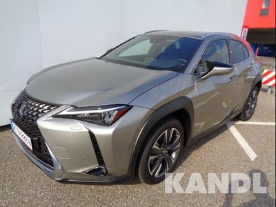 gebraucht Lexus UX 250h Style Edition 1.4kWh Aut.