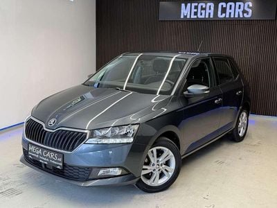 Grau Gebraucht 2020 Skoda Fabia Ambition Kleinwagen | € 12.900 (Teuer)