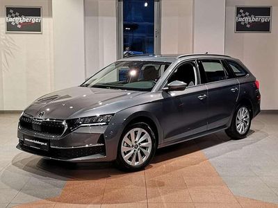 Grau Gebraucht 2025 Skoda Octavia Selection Kombi | € 27.999 (Guter Preis)