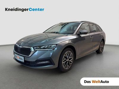 Grau Gebraucht 2023 Skoda Octavia Ambition Kombi | € 25.790 (Fairer Preis)