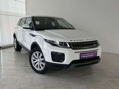 gebraucht Land Rover Range Rover evoque Pure 2,0 TD4 Aut. Allrad