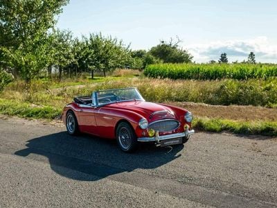 Rot Gebraucht 1962 Austin Healey 3000 MK II Cabrio | € 49.900