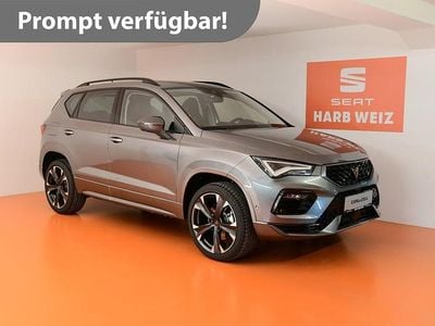 Gebraucht Cupra Ateca 150 PS (110 kW) 2024 Grau SUV