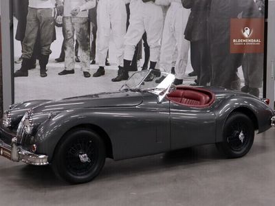 Grau Gebraucht 1955 Jaguar XK Cabrio | € 127.500