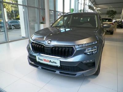 Mittelgrau metallic Neu 2025 Skoda Kamiq Selection SUV | € 31.990 (Etwas zu teuer)