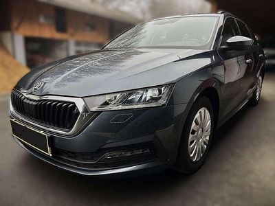 Grau Gebraucht 2021 Skoda Octavia Kombi | € 17.900 (Guter Preis)