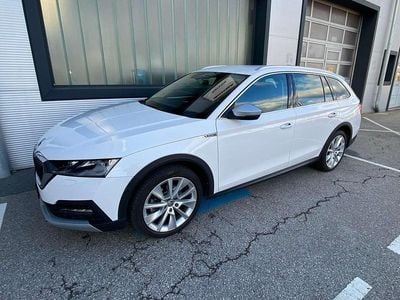Weiß Gebraucht 2023 Skoda Octavia Scout Scout 4x4 Kombi | € 33.000
