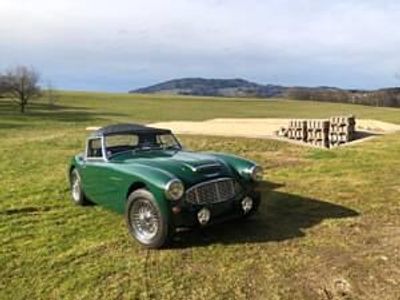 Grün Gebraucht 1957 Austin Healey 100/6 Cabrio | € 74.900