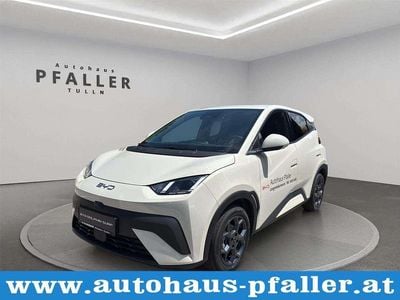 Weiß Gebraucht 2025 BYD Dolphin Surf Comfort Kleinwagen | € 25.890 (Fairer Preis)