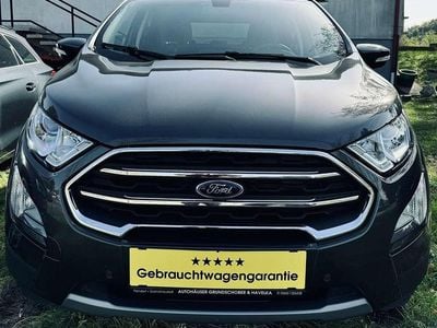 Grau Gebraucht 2019 Ford Ecosport Titanium SUV | € 13.990 (Fairer Preis)