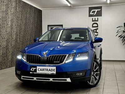 gebraucht Skoda Octavia Scout 2,0 TDI 4x4 DSG / LED/ NAVI/ AMBIENTEBELE...