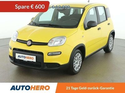 Gelb Gebraucht 2024 Fiat Panda Kleinwagen | € 13.390 (Guter Preis)
