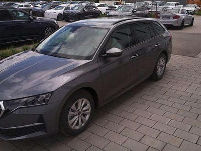 Grau Gebraucht 2025 Skoda Octavia Business Line Kombi | € 36.406