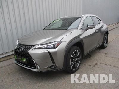 Gebraucht Lexus UX 250h 152 PS (111 kW) 2023 Silber SUV