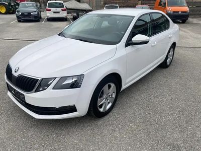 gebraucht Skoda Octavia Ambition TDI