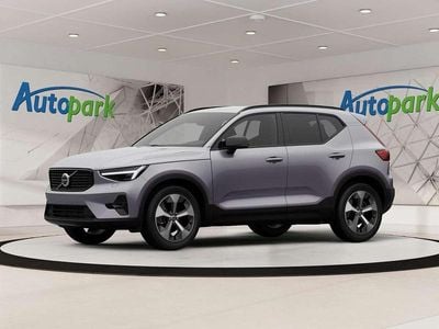Grau Gebraucht 2025 Volvo XC40 Plus SUV | € 44.000 (Teuer)
